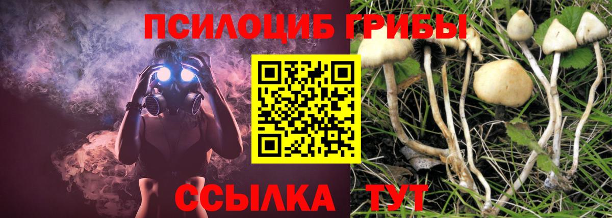 Галлюциногенные грибы Psilocybine cubensis Электрогорск